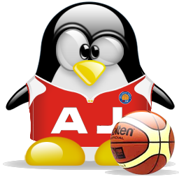 penguin pingouin pinguino 784